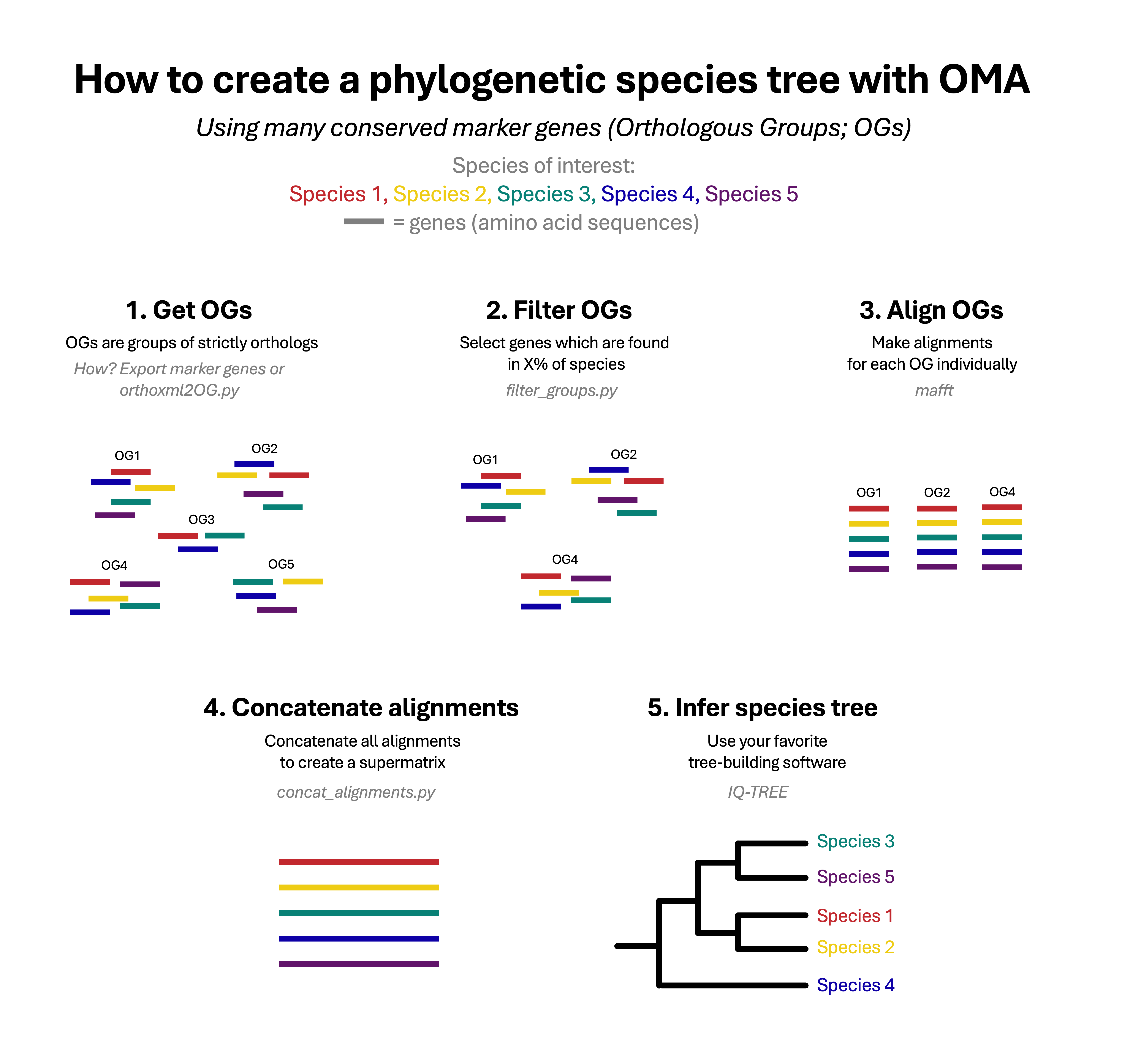 species-tree-diagram